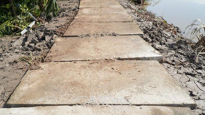 Tuyến lộ kênh Nai Bàu Sậy (ấp Ngã Bát, Xã Trần Phán) đã hoàn tất khâu đắp đất đen, bảo đảm đúng quy cách kỹ thuật.