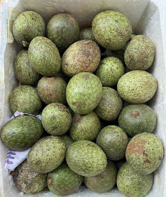 Mãng cầu rừng ruột vàng được nhiều người ưa chuộng - Ảnh minh hoạ