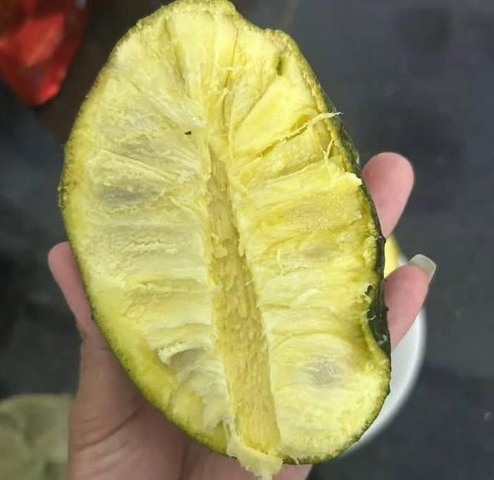 Phần thịt bên trong có màu từ vàng nhạt đến vàng cam khá bắt mắt - Ảnh minh hoạ