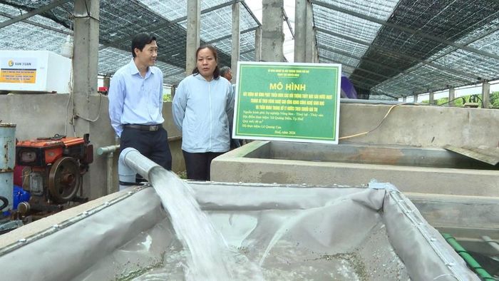 Triển khai mô hình nuôi cá chình đặc sản nước ngọt ứng dụng công nghệ sinh học và hệ thống tuần hoàn