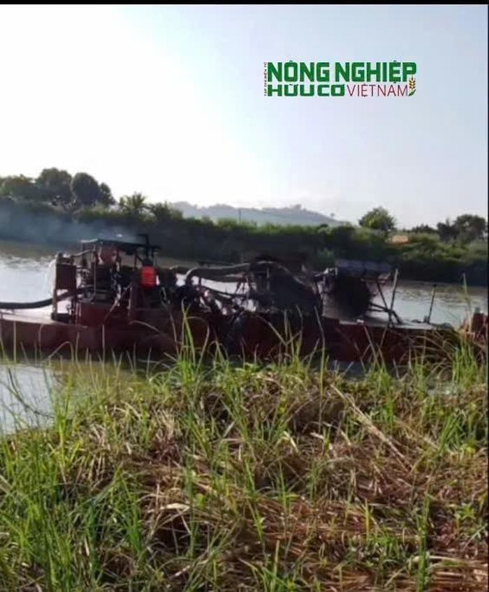 Trước thực trạng trên, UBND xã Quảng Phú đề nghị Sở Nông nghiệp và Môi trường chủ trì, tham mưu thành lập đoàn kiểm tra liên ngành để kiểm tra việc chấp hành các quy định pháp luật trong hoạt động khai thác cát trên địa bàn