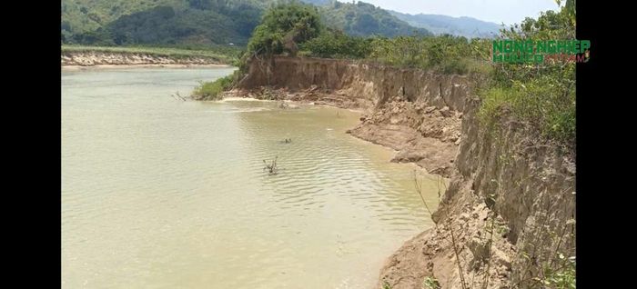 Những khu vực đất nông nghiệp, đất hoa màu nằm sát sông, diện tích sản xuất của người dân đang bị thu hẹp theo các đợt sạt lở