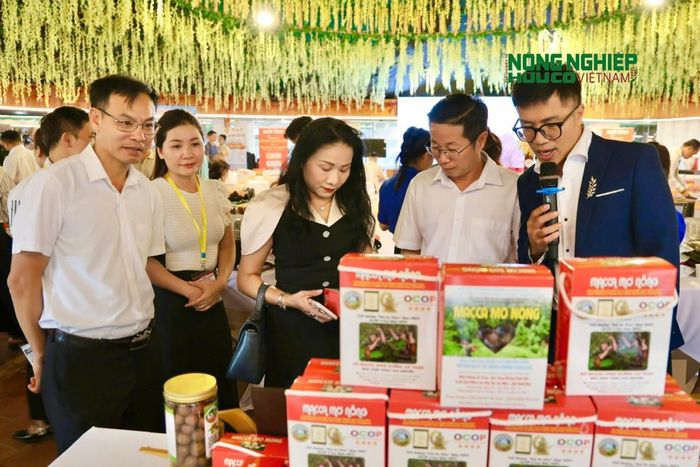 Tuy Đức có 15 sản phẩm OCOP của 13 chủ thể, trong đó 13 sản phẩm đạt 3 sao và 2 sản phẩm đạt 4 sao. Đây là kết quả bước đầu trong quá trình nâng cao chất lượng, hoàn thiện sản phẩm và xây dựng thương hiệu nông sản địa phương