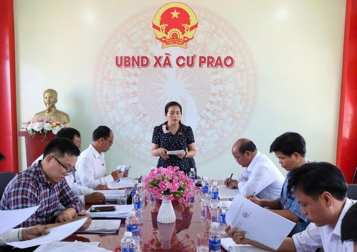 Trưởng đoàn giám sát Đỗ Thị Như Tình phát biểu tại buổi làm việc.