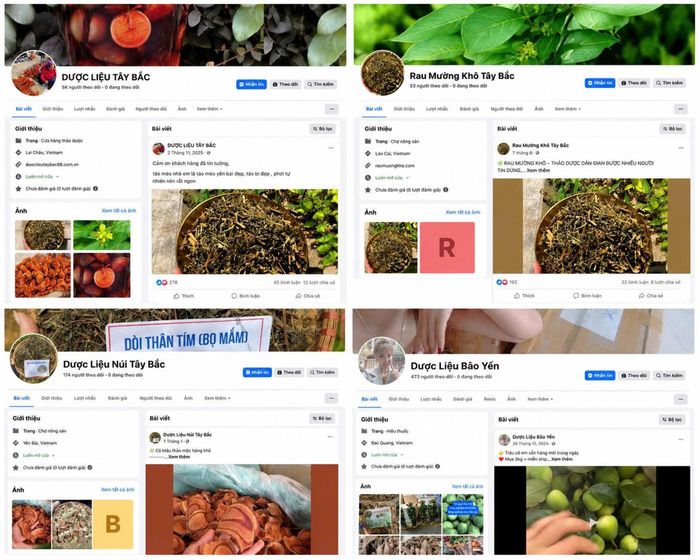 Mạnh sử dụng 4 tài khoản facebook để kinh doanh các mặt hàng thảo mộc. (Ảnh: Công an tỉnh Lào Cai)
