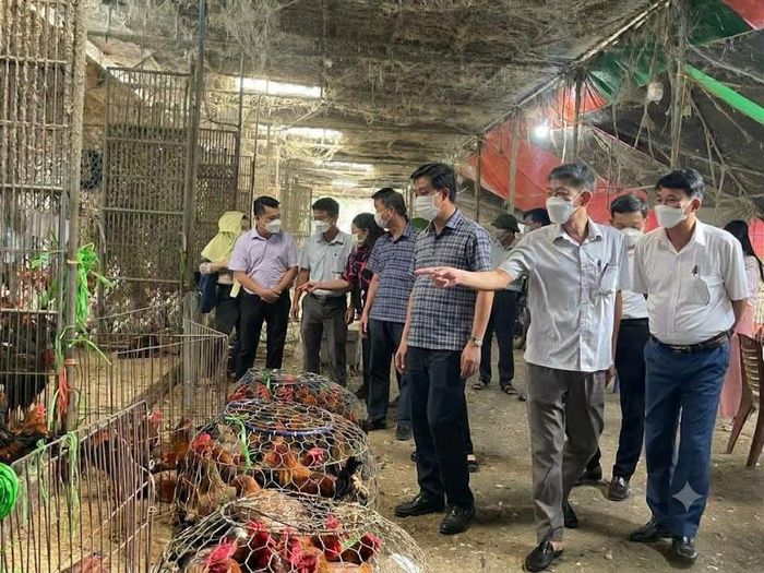 Sở Nông nghiệp và Môi trường Hà Nội kiểm tra nguồn gốc xuất xứ tại chợ gia cầm Hà Vĩ (xã Chương Dương). Ảnh: PV