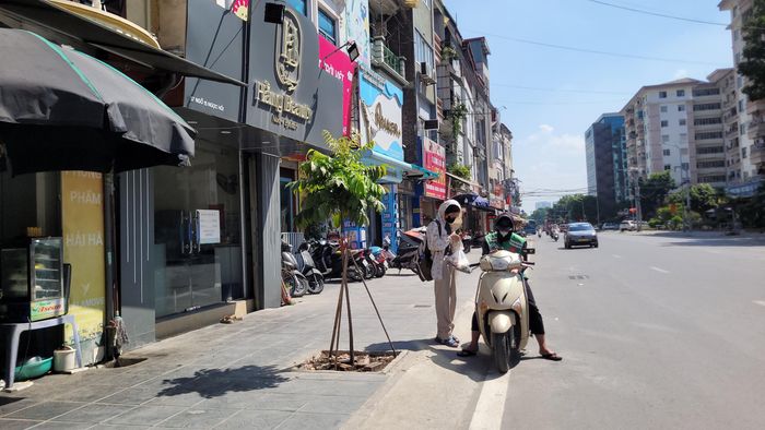 Tuy nhiên, sau khi chính quyền phường làm việc và rà soát thực địa, nguyện vọng chính đáng này đành phải gác lại vì ngay dưới vỉa hè trước cửa nhà là toàn bộ hệ thống đường cáp, điện ngầm dày đặc.