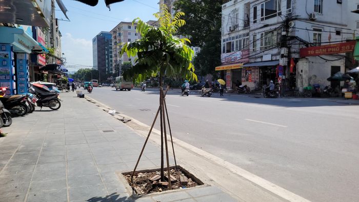 Do đó, anh Dũng cho rằng, mở rộng đường, xóa điểm nghẽn ùn tắc giao thông là chủ trương đúng đắn, mang lại diện mạo mới cho hạ tầng đô thị nhưng người dân nơi đây đang rất mong mỏi các cơ quan chuyên môn của thành phố sớm khảo sát, tìm giải pháp kỹ thuật phù hợp như bố trí bồn cây nổi di động, giàn hoa leo chịu nhiệt hoặc các phương án cảnh quan tương thích,… để sớm trả lại bóng mát cho con phố, hạ nhiệt cuộc sống cho người dân sau nhiều tháng ngày chống chọi với nắng nóng.