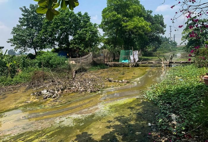 Nguồn nước tại các hệ thống kênh, rạch quanh khu dân cư bị ô nhiễm, chất thải rắn và tàn dư sản xuất đọng lại dọc hai bên bờ.