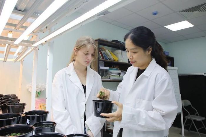 Trong khi đầu ra được cải thiện, thứ hạng đầu vào đổi mới sáng tạo của Việt Nam giảm 4 bậc, từ vị trí 50 xuống 54. Ảnh: PV