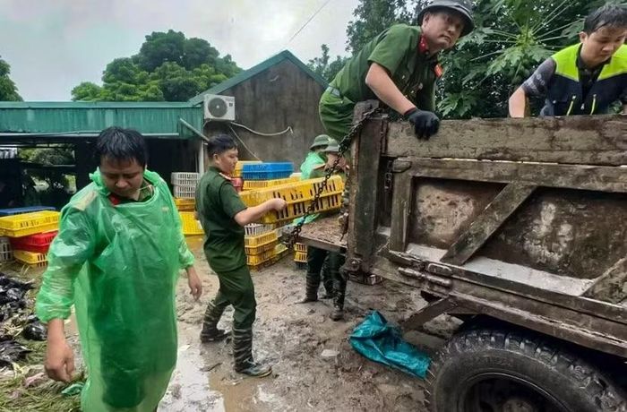 Công an xã Quảng Bị (Hà Nội) "giải cứu" 18.000 con gà sắp xuất chuồng cho bà con vùng ngập nặng ngày 17-9