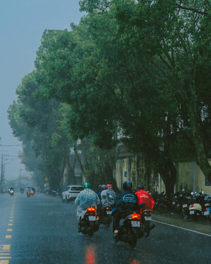 Mùa mưa ở Đà Lạt năm nay, ảnh chụp chiều ngày 23/9. Ảnh: Bùi Huy Tưởng.