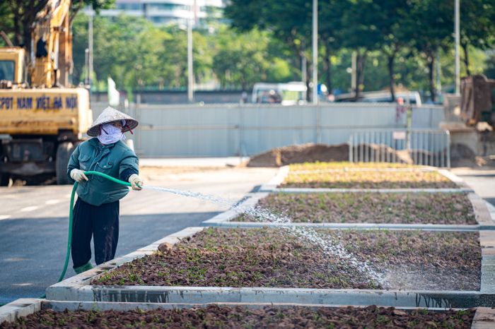  Dải phân cách dọc tuyến được trồng hoa và cây xanh. Sau khi mặt đường hoàn thành thảm nhựa, công nhân tiến hành tưới nước cho hàng cây, cỏ mới trồng. 