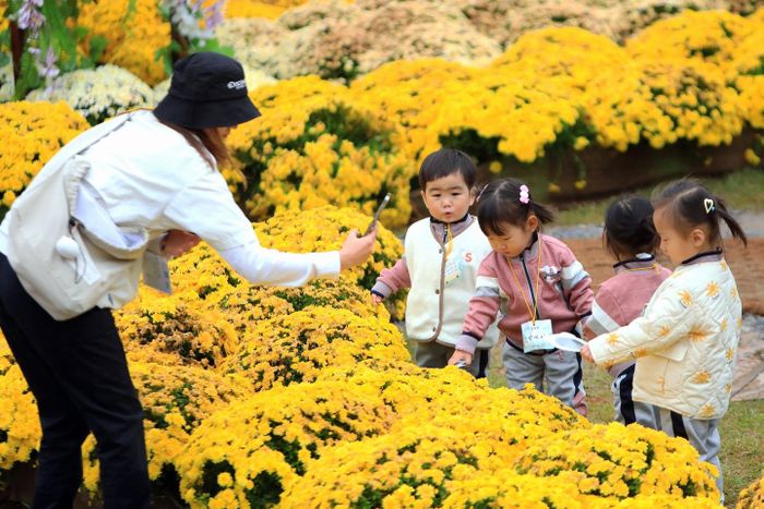  Nhiều quốc gia ở Đông Á đang đứng trước bài toán suy giảm dân số. Ảnh minh họa: K.D. 