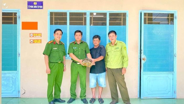 Người dân giao nộp cá thể rùa hoang dã cho Công an xã Tri Tôn