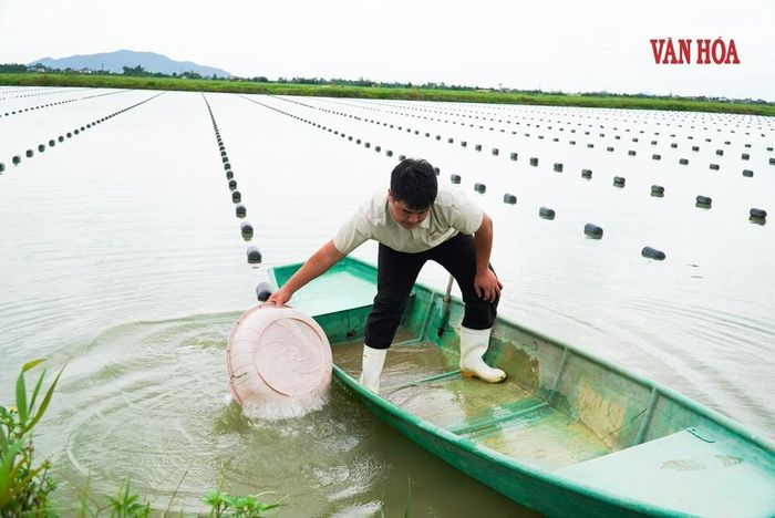 70ha mặt nước tự nhiên tại đập Yên Vũ được công ty thuê để nuôi trai lấy ngọc