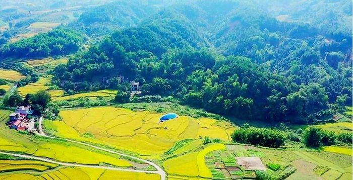 Mùa lúa chín Lục Hồn
