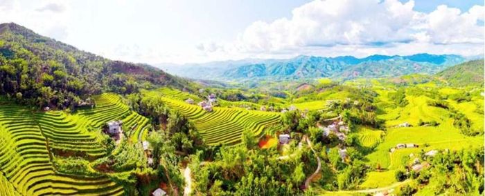 Những thửa ruộng bậc thang Lục Hồn bước vào mùa lúa chín