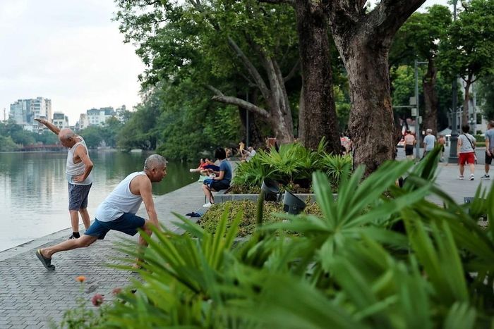 Các bài tập kéo giãn nhẹ nhàng giúp cơ thể linh hoạt hơn, hỗ trợ duy trì sự dẻo dai của cơ xương khớp và hạn chế tình trạng cứng cơ thường gặp ở người cao tuổi. Ảnh: Phạm Tuấn Anh - TTXVN