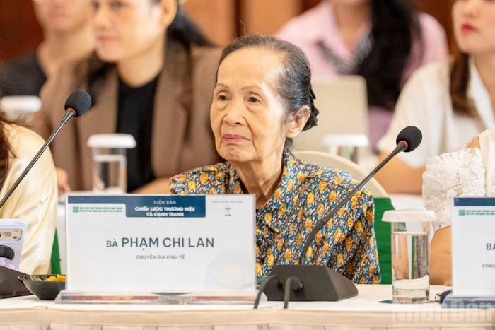 Chuyên gia kinh tế Phạm Chi Lan.