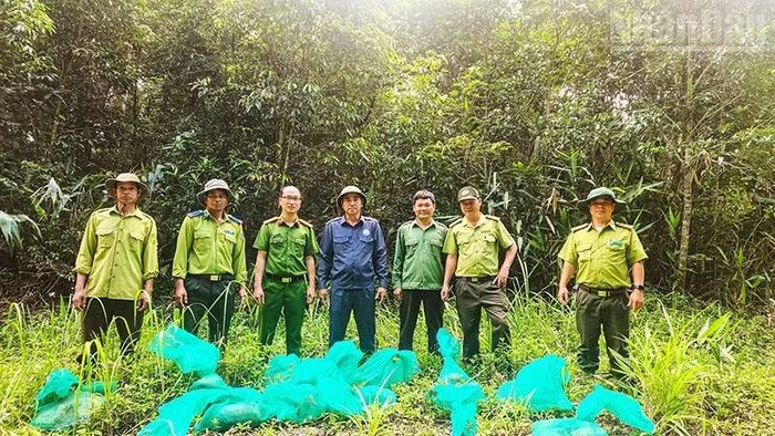 Các cá thể động vật quý, hiếm được lực lượng chức năng tái thả về thiên nhiên. (Ảnh: PHÚC THẮNG)