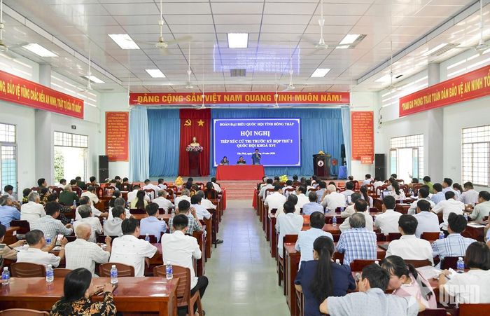 Các đại biểu tham dự hội nghị.  