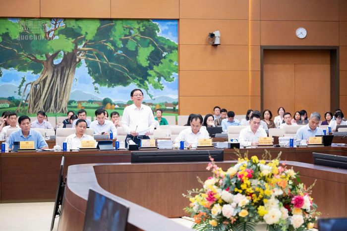 Phó thủ tướng Chính phủ Hồ Quốc Dũng phát biểu tại phiên họp. Ảnh: quochoi.vn