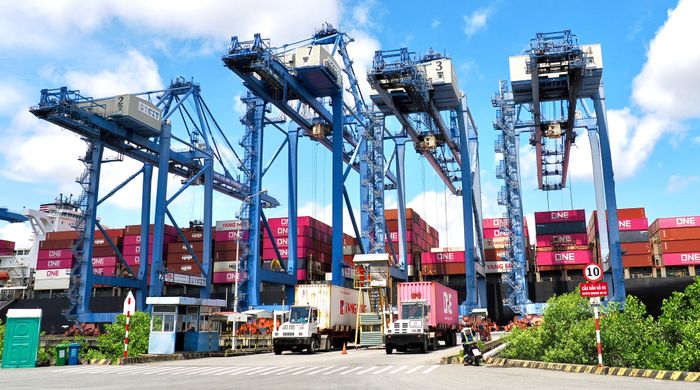  Hoạt động xếp dỡ hàng hóa tại Cảng Quốc tế Tân Cảng - Cái Mép (TCIT), phường Tân Phước. Ảnh: HOÀNG HÙNG 