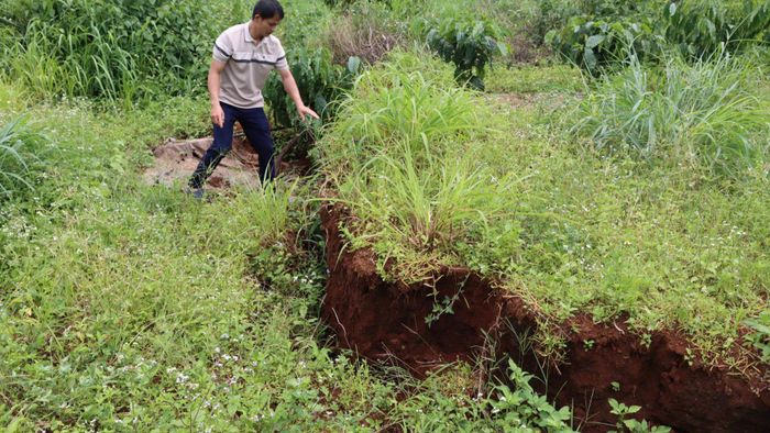 Vết nứt kéo dài qua các vườn cây của dân. Ảnh: HỮU PHÚC