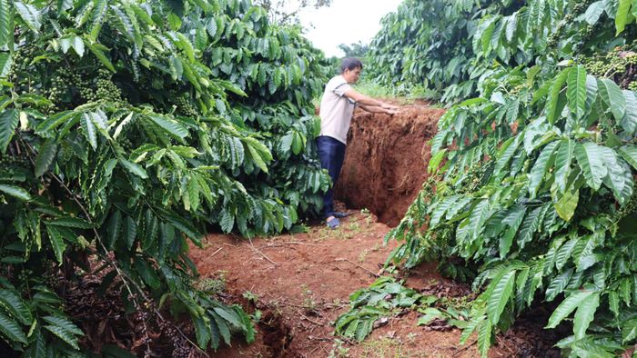 Vị trí đất bị nứt, sụt lún sâu. Ảnh: HỮU PHÚC
