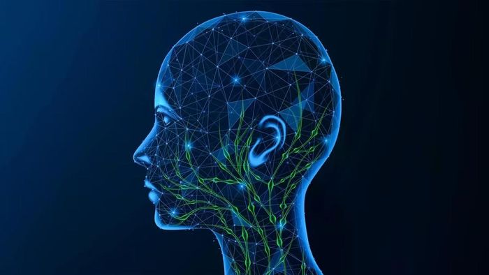 Phát hiện ra một con đường miễn dịch bất ngờ bên ngoài não bộ có thể góp phần gây tổn thương não trong bệnh Alzheimer.