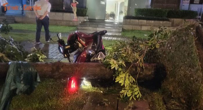 Rất may, người điều khiển phương tiện kịp nhảy thoát nên không gây thiệt hại về người.