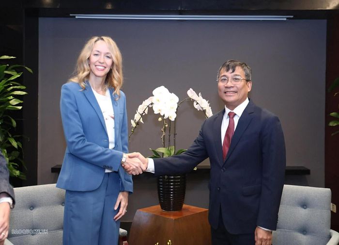Ủy viên Trung ương Đảng, Thứ trưởng Thường trực Nguyễn Minh Vũ có cuộc gặp với Bà Courtney Beale, Phó Đại sứ, Đại sứ quán Hoa Kỳ tại Hà Nội. (Ảnh: Thành Long)