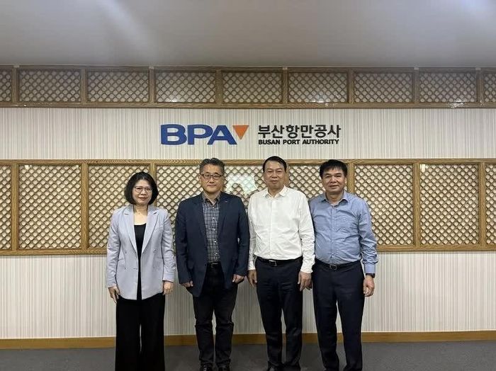 Đoàn thăm và làm việc tại Busan.