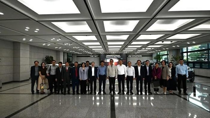 Đoàn thăm và làm việc tại Ulsan.