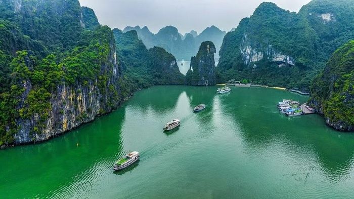 Một trải nghiệm được Travel + Leisure gợi ý là kết hợp hành trình khám phá Việt Nam với chuyến du thuyền trên Vịnh Hạ Long. Ảnh: Cục Du lịch quốc gia Việt Nam