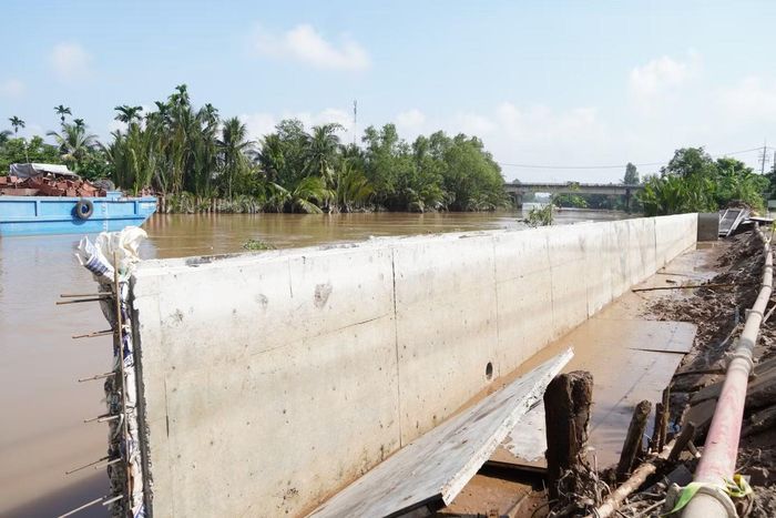 Sinh sống và sản xuất cạnh cống Trà Ếch đang thi công, ông Nguyễn Văn Vũ (xã Nhơn Mỹ, TP. Cần Thơ) cho biết, khu vực này thường xuyên chịu tác động của triều cường và xâm nhập mặn﻿, lâu nay người dân phải áp dụng nhiều cách để ứng phó. Khi có cống ngăn triều đi vào hoạt động, người dân sẽ yên tâm hơn về nguồn nước ngọt cho sản xuất, sinh hoạt. 