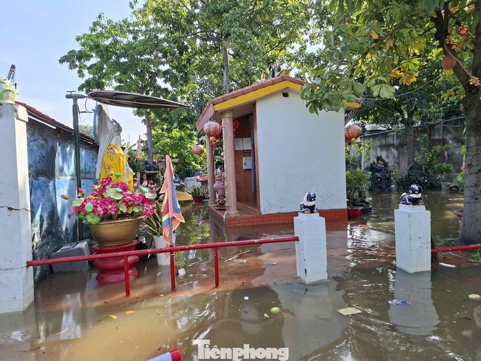 Nước ngập một ngôi miếu trong hẻm 84, đường số 11.