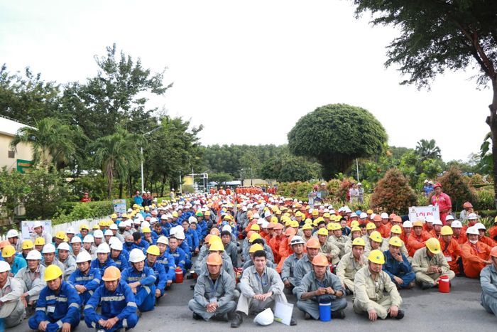 Lực lượng nhân sự của PVCFC, các đơn vị trong PETROVIETNAM như PVFCCo-Phú Mỹ, BSR, PTSC-POS, PPS-PV COLLEGE và các nhà thầu cùng phối hợp triển khai chiến dịch quy mô lớn.