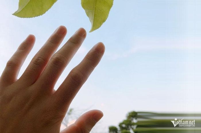 Tôi không biết mình sẽ đi về đâu khi không có gia đình làm điểm tựa. Ảnh minh họa