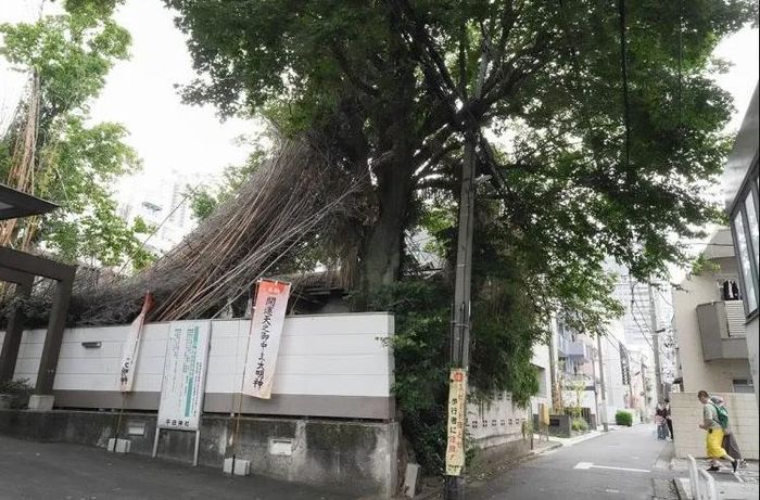 Nằm giữa khu phố đắt đỏ bậc nhất, căn nhà của ông Maeda nổi bật với cây cối mọc bao quanhẢnh: New-postseven