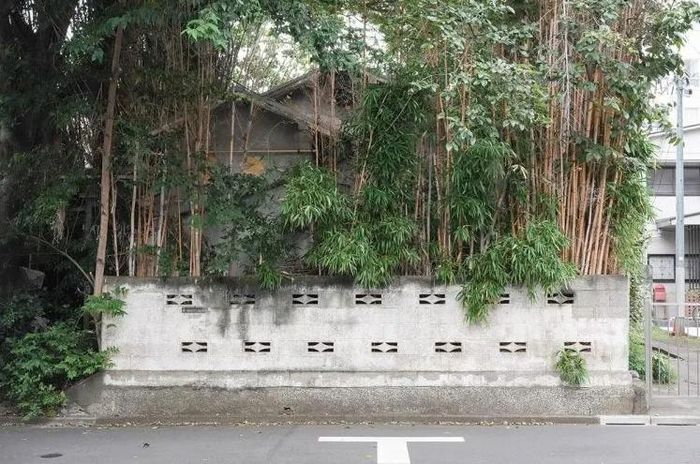 Cụ ông cho biết mình sống dựa vào trợ cấp của một người cháu. Ảnh: New-postseven