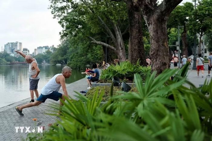 Các bài tập kéo giãn nhẹ nhàng giúp cơ thể linh hoạt hơn, hỗ trợ duy trì sự dẻo dai của cơ xương khớp và hạn chế tình trạng cứng cơ thường gặp ở người cao tuổi. (Ảnh: Phạm Tuấn Anh/TTXVN)