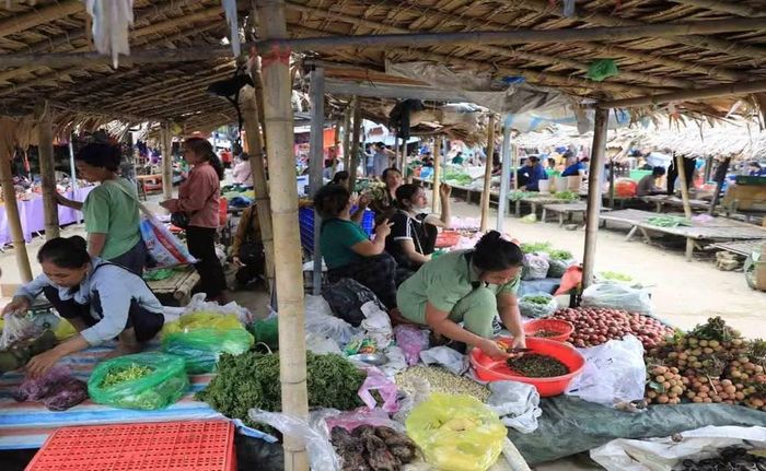 Những sản vật núi rừng của đồng bào vùng cao xứ Thanh được bày bán tại chợ. (Ảnh: TTXVN)