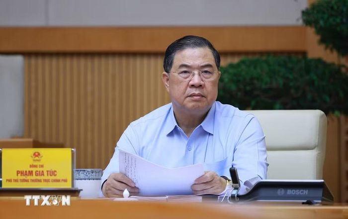 Phó Thủ tướng Thường trực Phạm Gia Túc phát biểu. (Ảnh: Dương Giang/TTXVN)