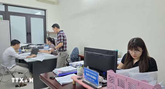 Cán bộ phường Móng Cái 2 đẩy nhanh tiến độ đồng bộ dữ liệu đất đai. (Ảnh: Thanh Vân/TTXVN)