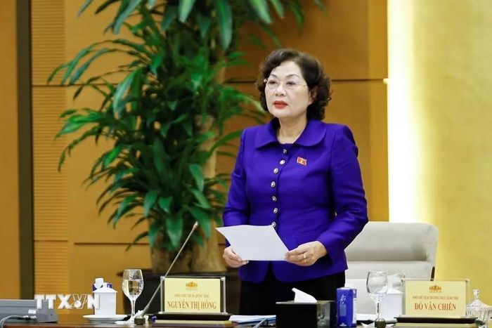 Phó Chủ tịch Quốc hội Nguyễn Thị Hồng phát biểu. (Ảnh: Doãn Tấn/TTXVN)