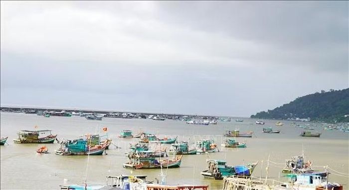 Mô hình nuôi cá lồng, bè đảo Hòn Tre, đặc khu Kiên Hải, tỉnh An Giang.