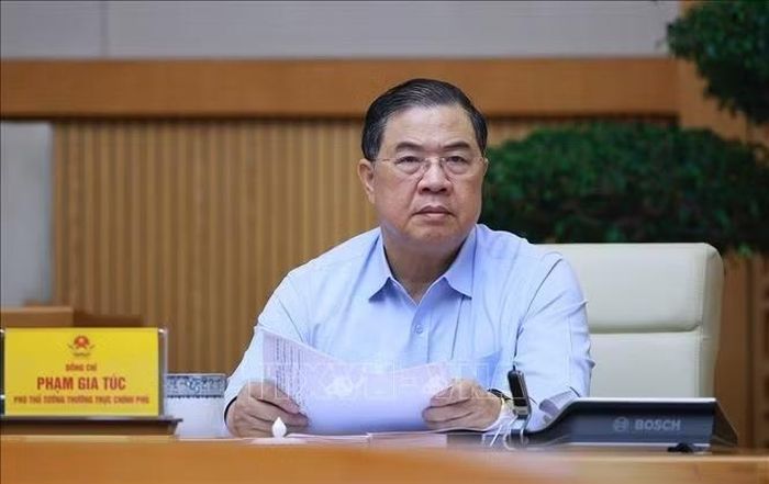Phó Thủ tướng Thường trực Phạm Gia Túc phát biểu. Ảnh: Dương Giang/TTXVN