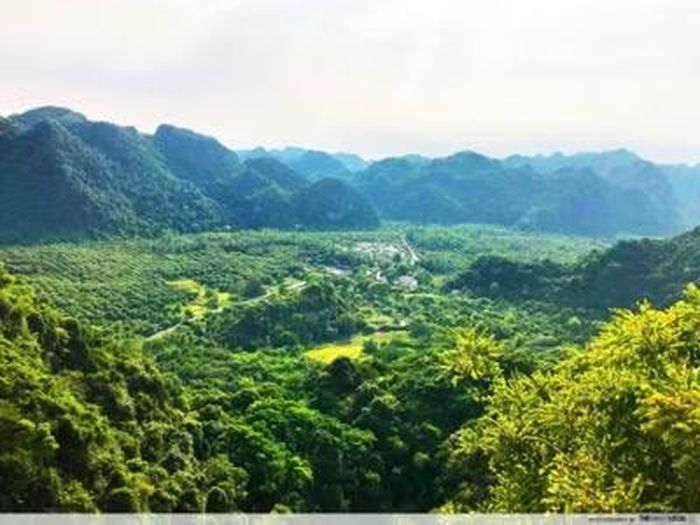 Năm 2024, Việt Nam nhận khoản chi trả 51,5 triệu USD cho kết quả giảm phát thải từ rừng. Ảnh: thesmartlocal.com